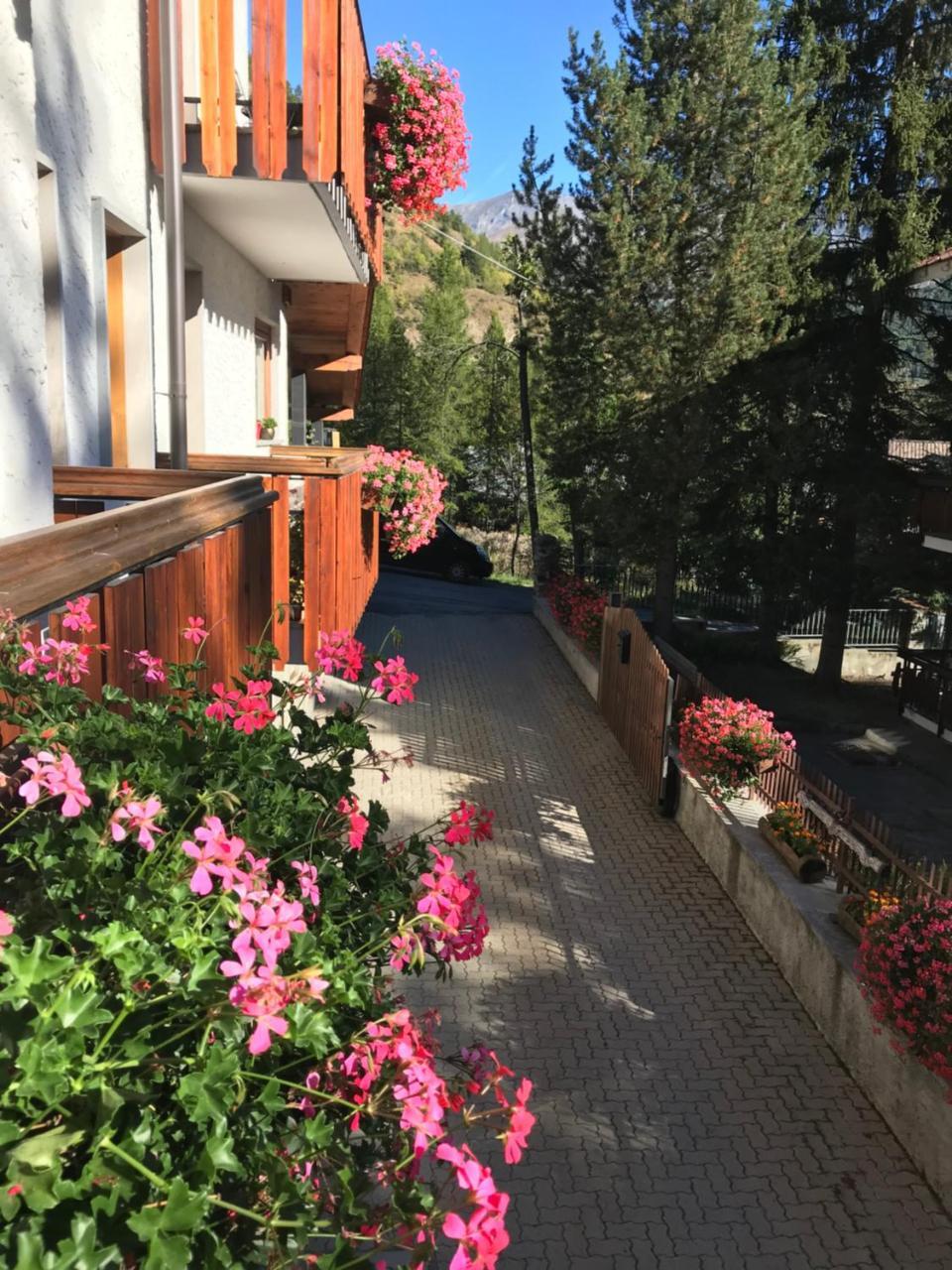 Hotel La Nigritella Bardonecchia Exteriér fotografie
